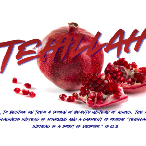 Anointed Prophetic Flags: Tehillah